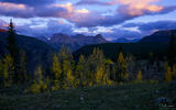 Autumn's Last Light