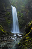 The Green Cascade