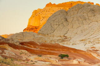 View of rock formations in White Pocket in Arizona at sunrise.