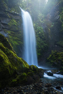 Emerald Veil