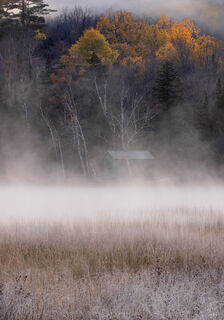 Sweet October Mornings