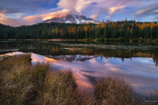 The Mirror of Mount Rainier