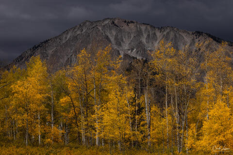 View of Marcelina Mountain with Aspen trees in fall at Kebler Pass in Colorado.