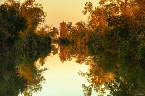 View of Bayou Lafourche river in Louisiana at sunset.