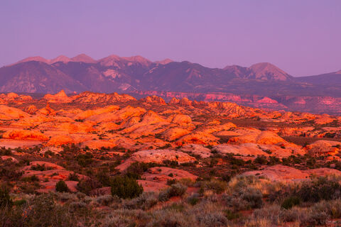 View of the Petrified Dunes in Arches National Park in Utah at sunset.