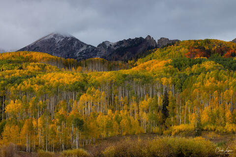 View of Anthracite Range with Aspen trees in fall at Kebler Pass in Colorado.
