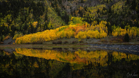 Golden and orange aspens covering a mountainside beside a calm lake, with colorful fall foliage reflected in the early morning water.