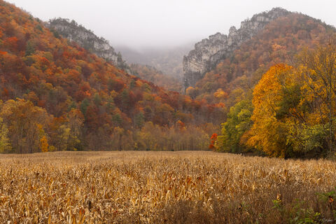 Fall Photography At Babcock State Park In West Virginia