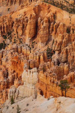 View of orange pillars at Bryce Canyon National Park in Utah.