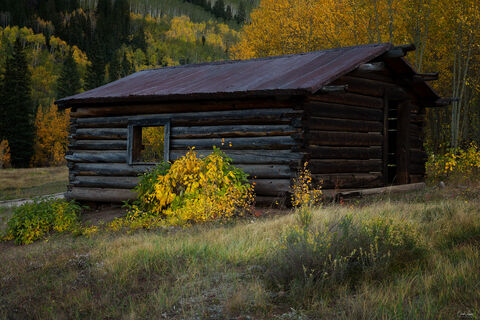 View of abandoned building in the town of Ashcroft in Colorado.