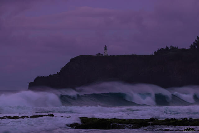 Big Surf print