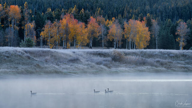 First Light On Autumn Shores print