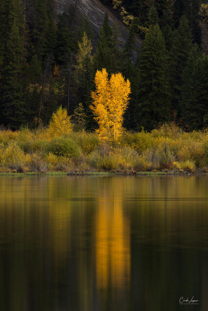 Last Evening Light print