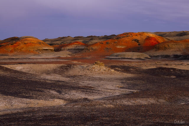 On Martian land print