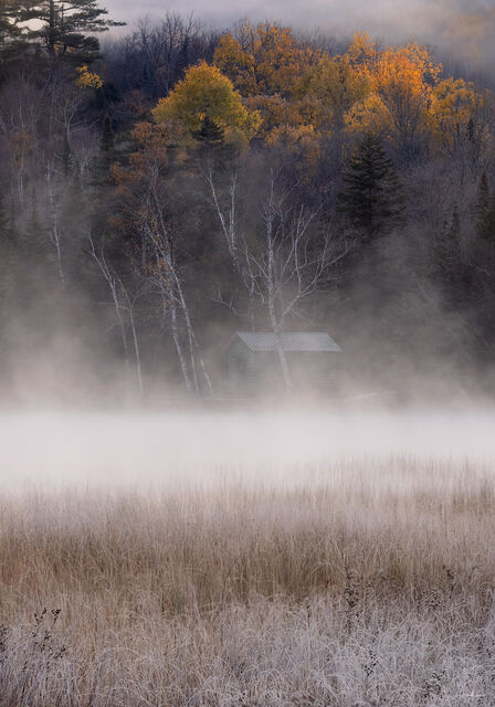 Sweet October Mornings print