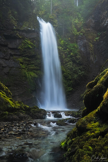 The Green Cascade print