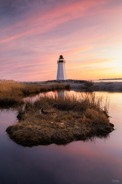 The Island And The Lighthouse print