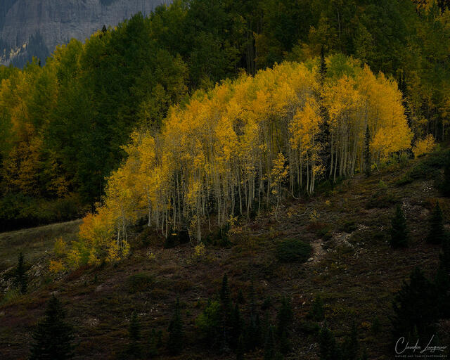 Where the Light Lingers print