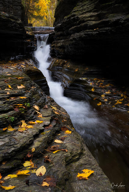 Of Fall And Waterfalls print