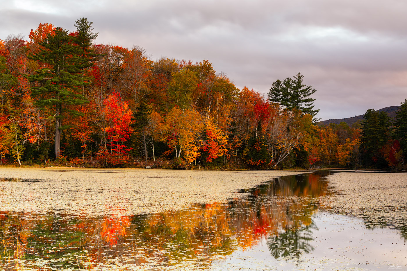 View of colorful trees at Leffert's Pond in Chittenden in Vermont.
