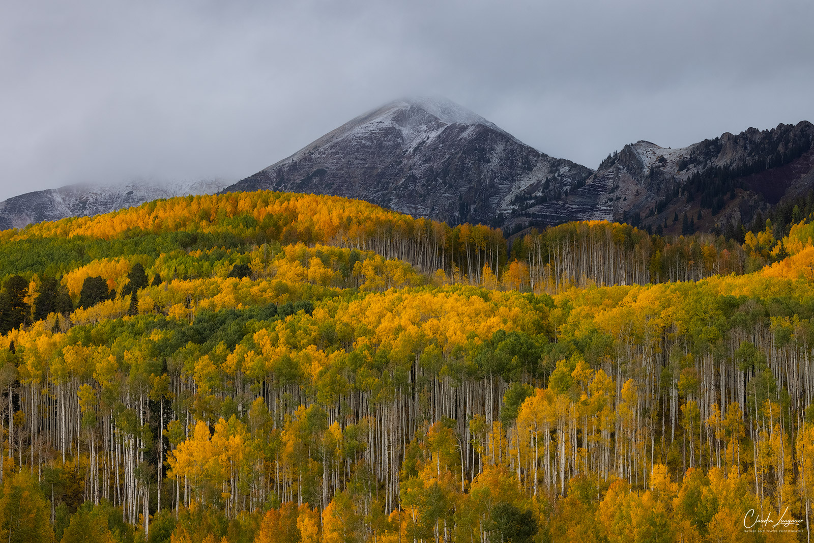 View of Anthracite Range with Aspen trees in fall at Kebler Pass in Colorado.