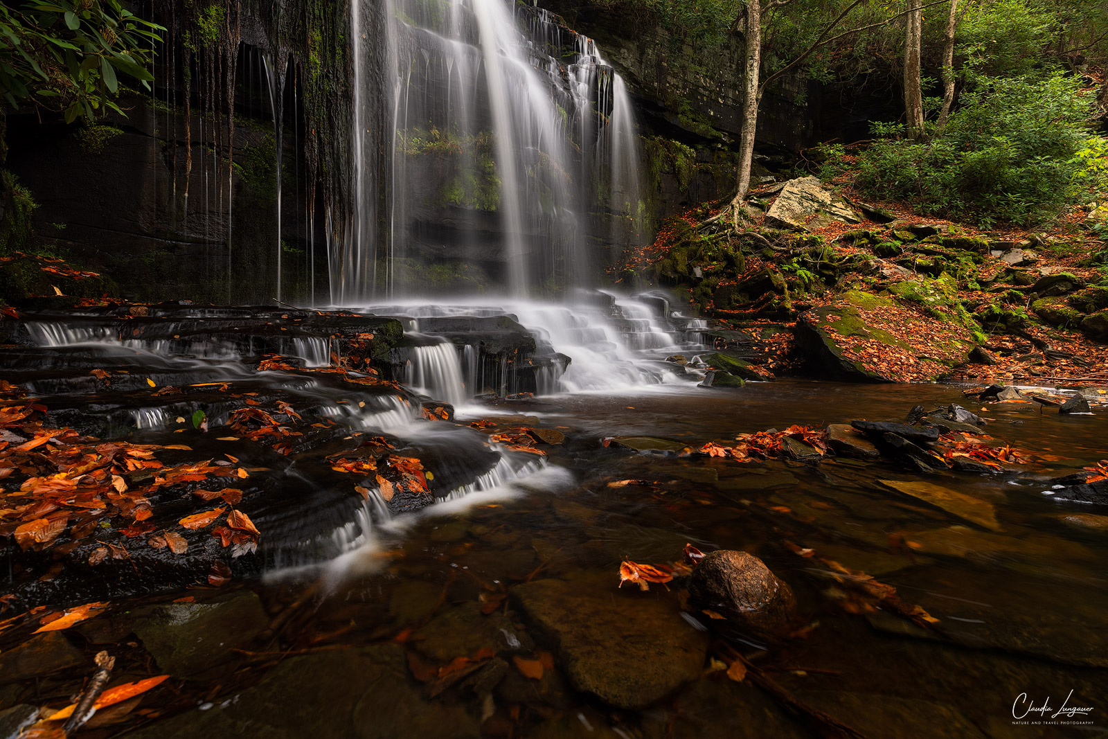 View of Mullet Brook Falls during fall.