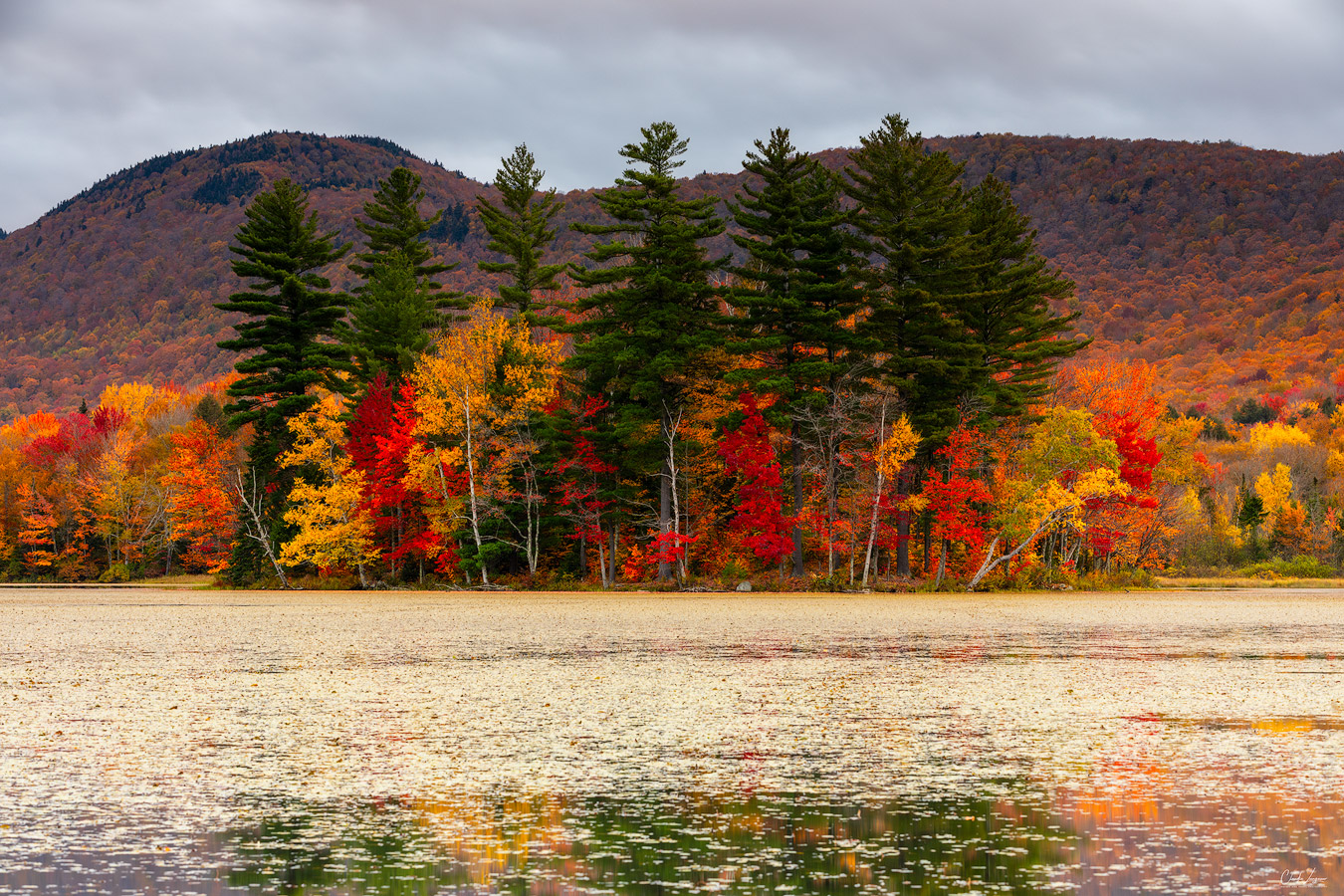 View of colorful trees at Leffert's Pond in Chittenden in Vermont.