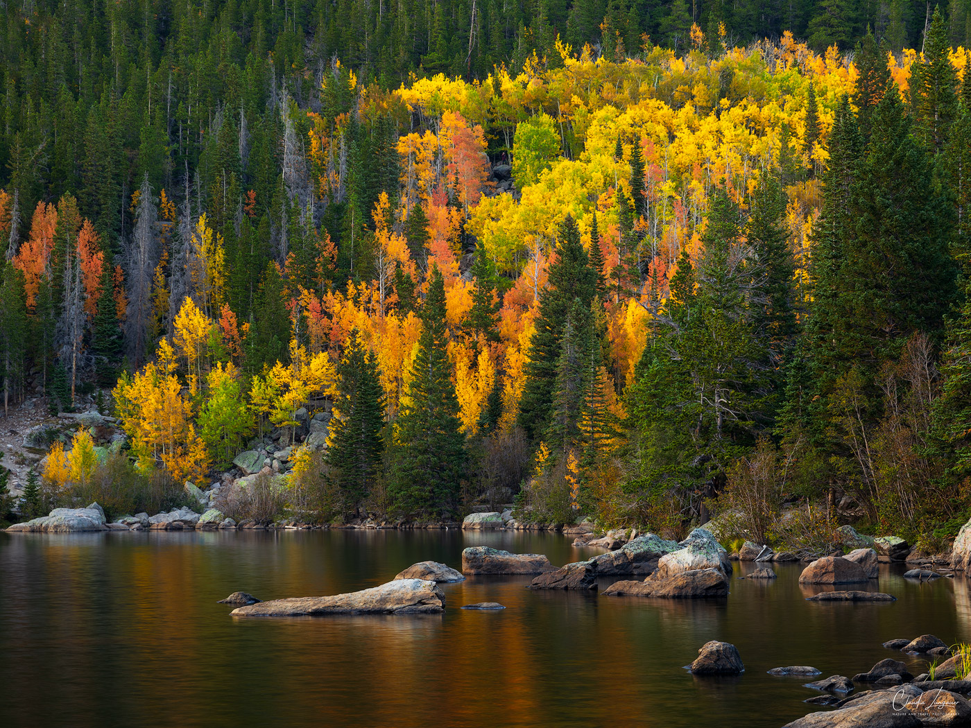 View of Aspen trees at Bear Lake in Rocky Mountain National Park in Colorado.