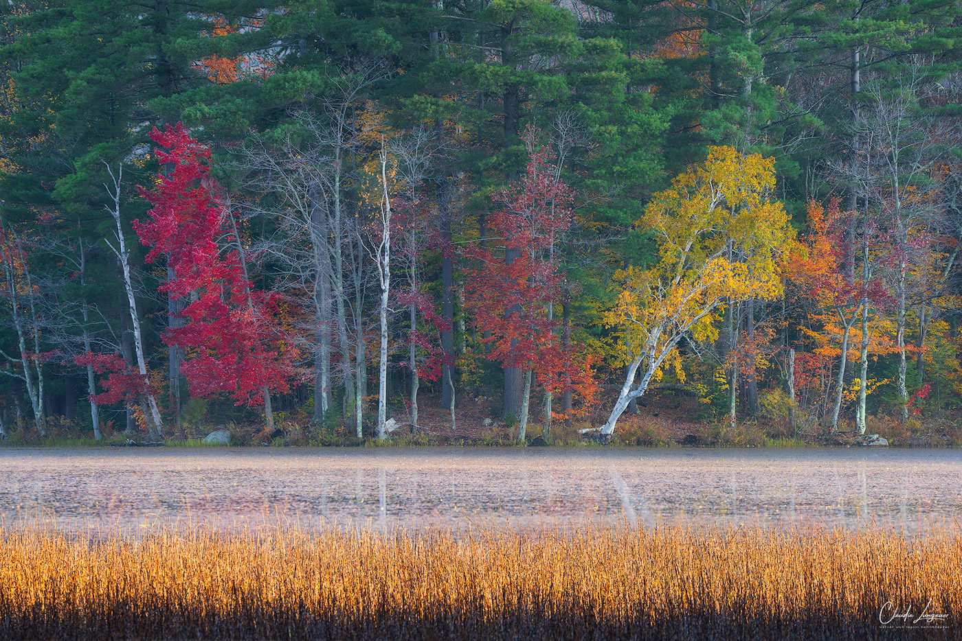View of colorful trees at Leffert's Pond in Vermont during fall season.