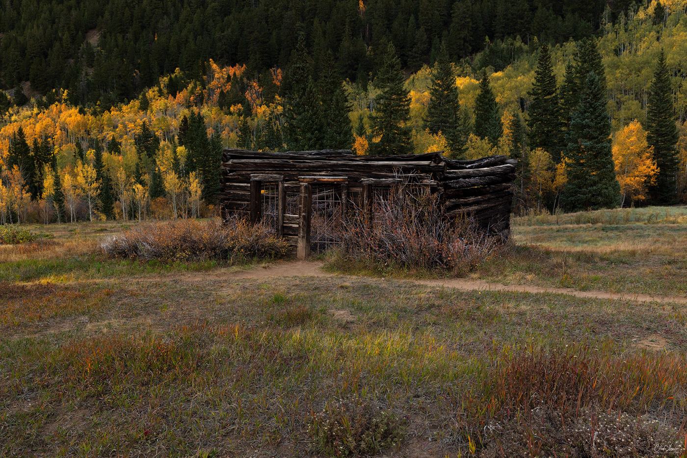 View of abandoned building in the town of Ashcroft in Colorado.