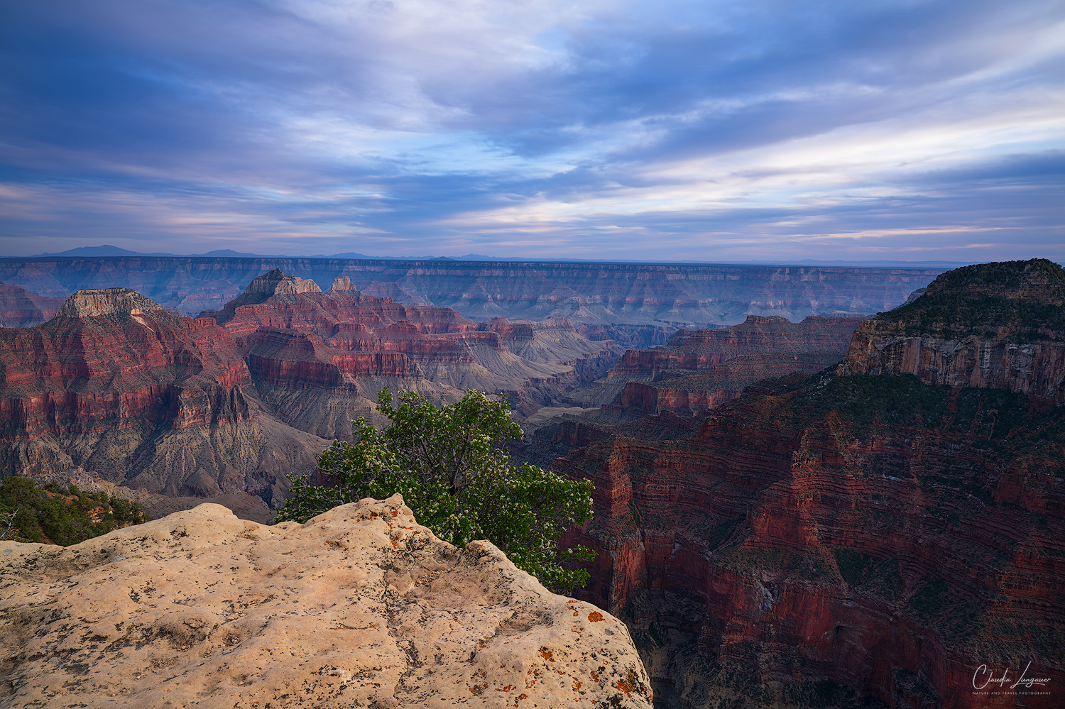 View of Grand Canyon's North Rim at sunset.