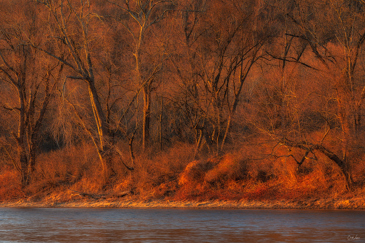 Forest scenery at Delaware Water Gap in New Jersey at sunset.